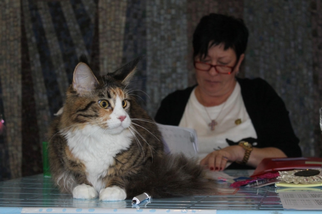 18-19 октября 2014 Новороссийск