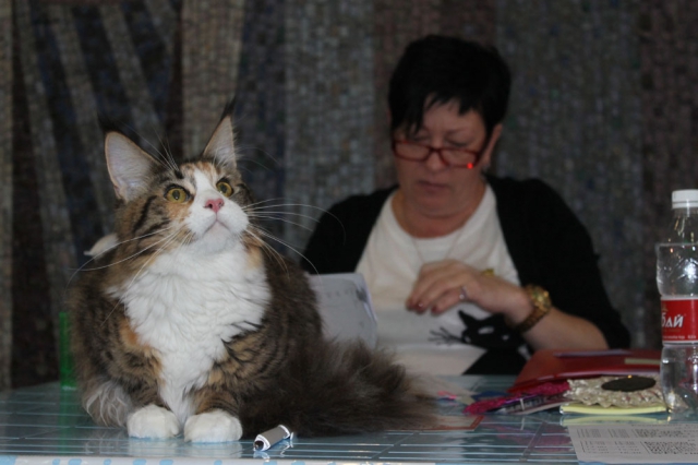 18-19 октября 2014 Новороссийск