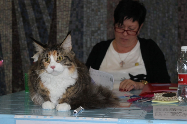 18-19 октября 2014 Новороссийск