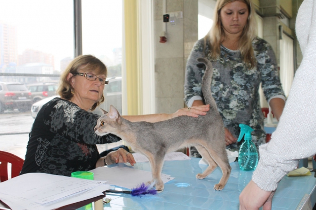 18-19 октября 2014 Новороссийск