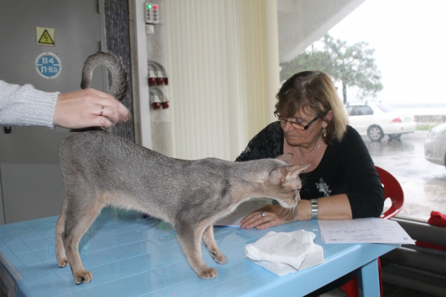 18-19 октября 2014 Новороссийск