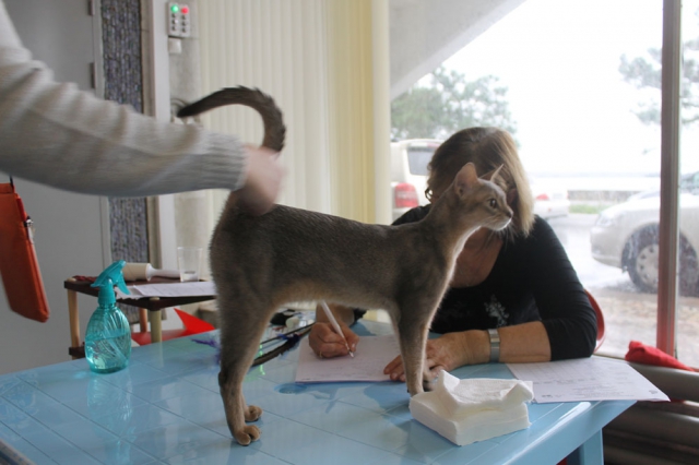 18-19 октября 2014 Новороссийск