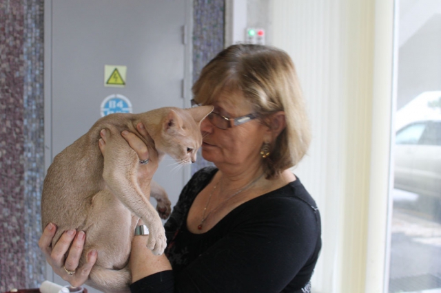 18-19 октября 2014 Новороссийск