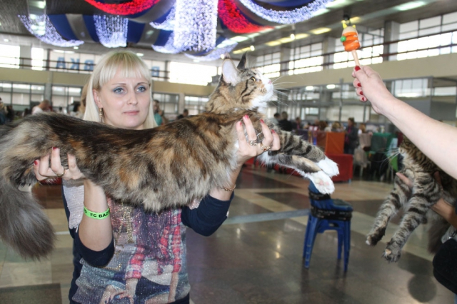 18-19 октября 2014 Новороссийск