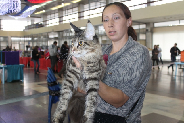 18-19 октября 2014 Новороссийск