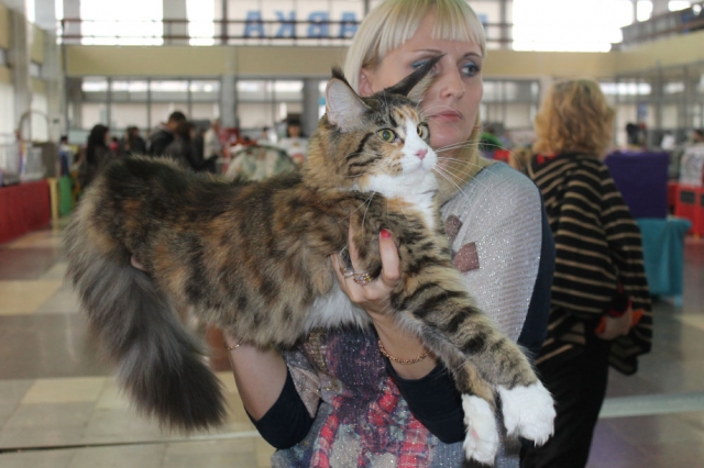 18-19 октября 2014 Новороссийск