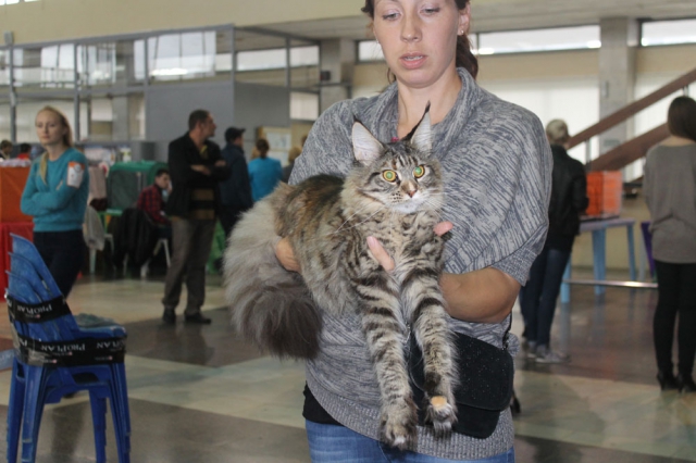 18-19 октября 2014 Новороссийск