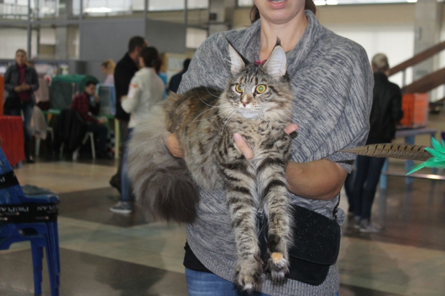 18-19 октября 2014 Новороссийск