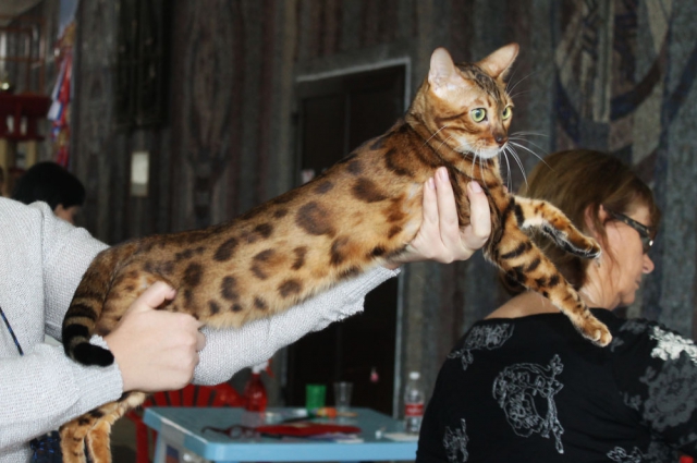 18-19 октября 2014 Новороссийск