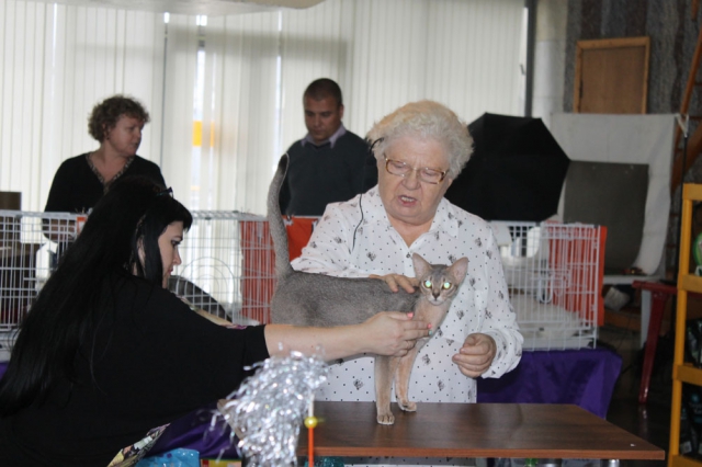 18-19 октября 2014 Новороссийск