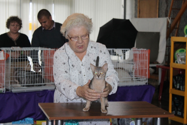 18-19 октября 2014 Новороссийск