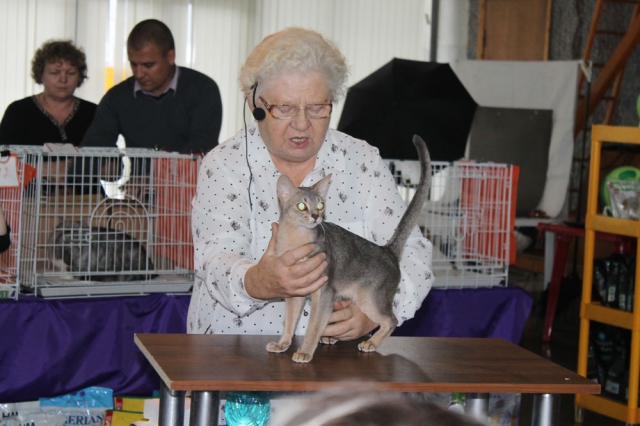 18-19 октября 2014 Новороссийск