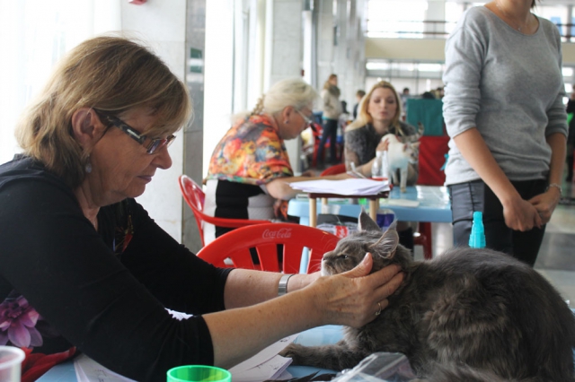 18-19 октября 2014 Новороссийск