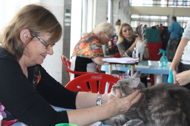 18-19 октября 2014 Новороссийск