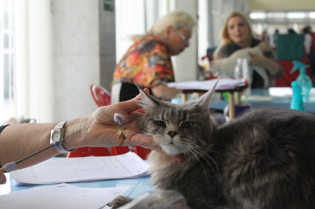 18-19 октября 2014 Новороссийск