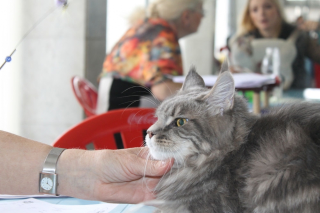 18-19 октября 2014 Новороссийск