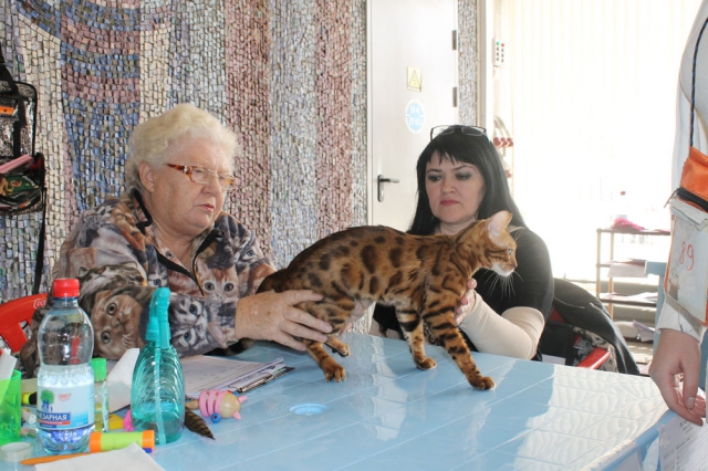 18-19 октября 2014 Новороссийск