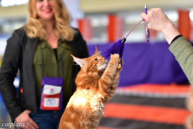 19-20 марта 2016 Новороссийск