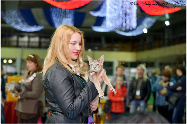 19-20 марта 2016 Новороссийск