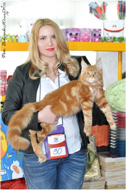 19-20 марта 2016 Новороссийск