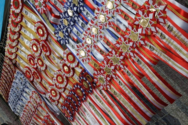 19-20 марта 2016 Новороссийск