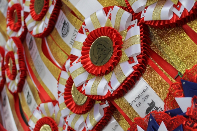 19-20 марта 2016 Новороссийск