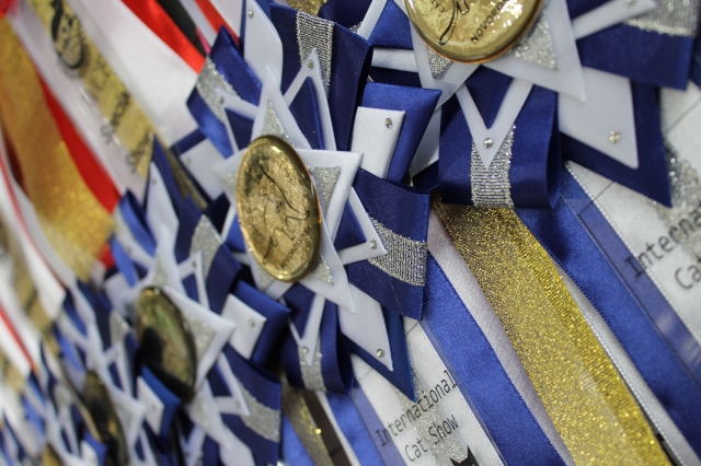 19-20 марта 2016 Новороссийск