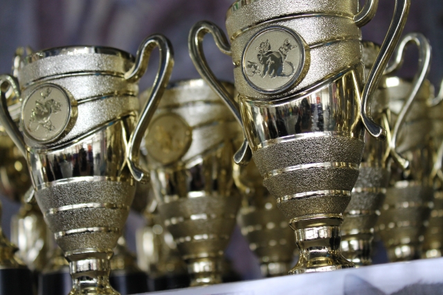 19-20 марта 2016 Новороссийск