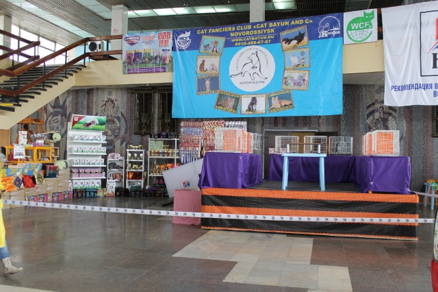 19-20 марта 2016 Новороссийск