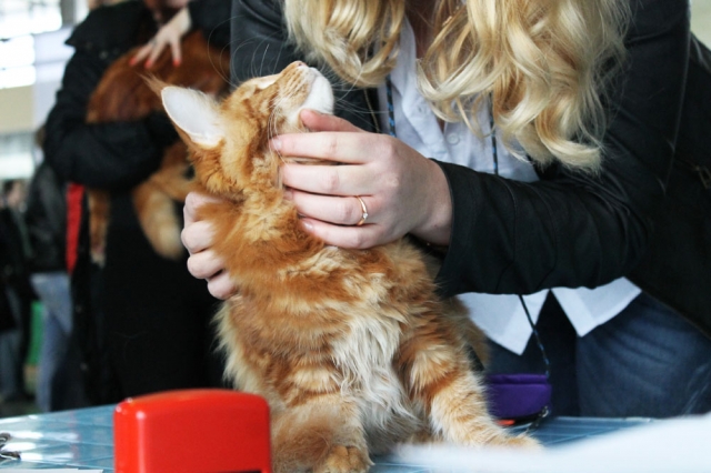 19-20 марта 2016 Новороссийск