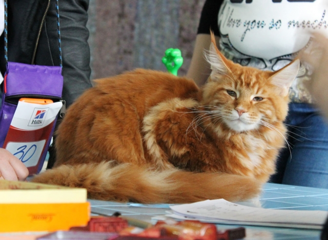 19-20 марта 2016 Новороссийск