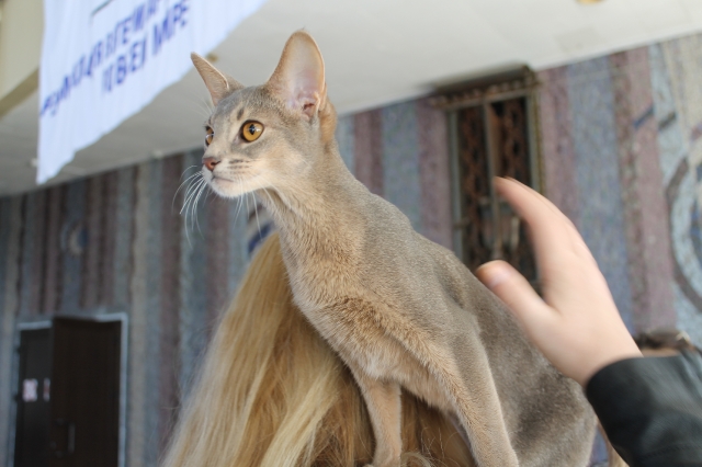 19-20 марта 2016 Новороссийск