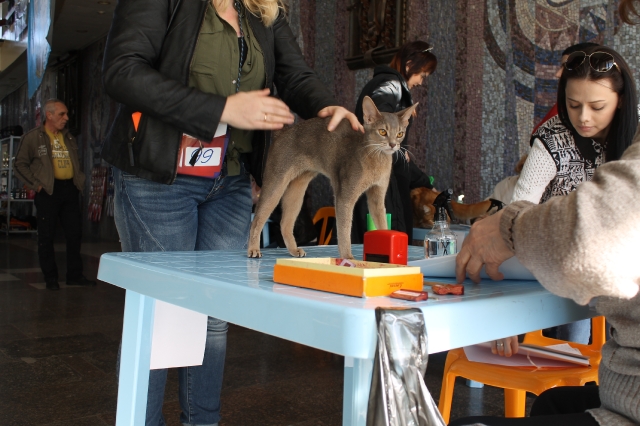 19-20 марта 2016 Новороссийск