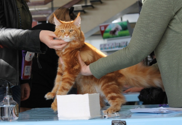 19-20 марта 2016 Новороссийск