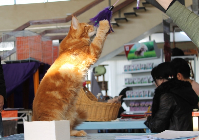 19-20 марта 2016 Новороссийск