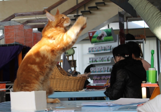 19-20 марта 2016 Новороссийск