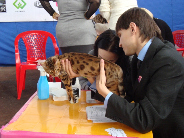 19 ноября 2011 Краснодар
