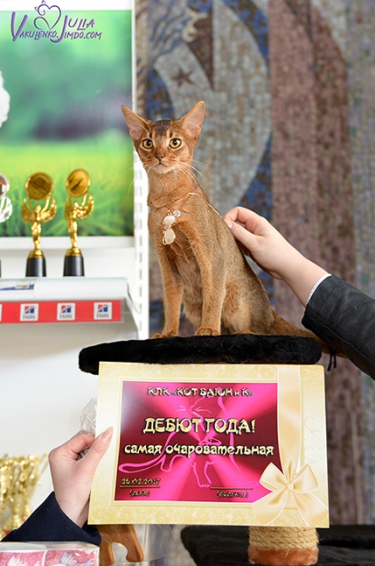 25-26 февраля 2017 г. Новороссийск