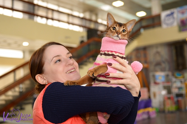 25-26 февраля 2017 г. Новороссийск