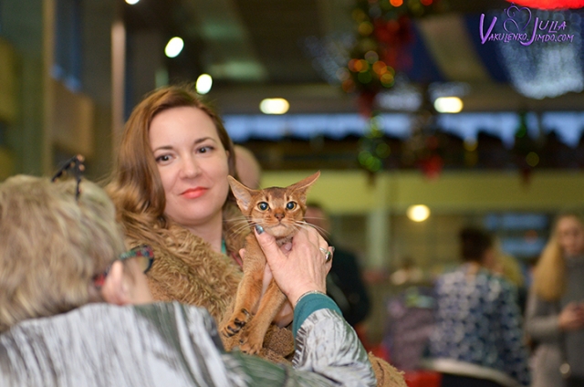 25-26 февраля 2017 г. Новороссийск