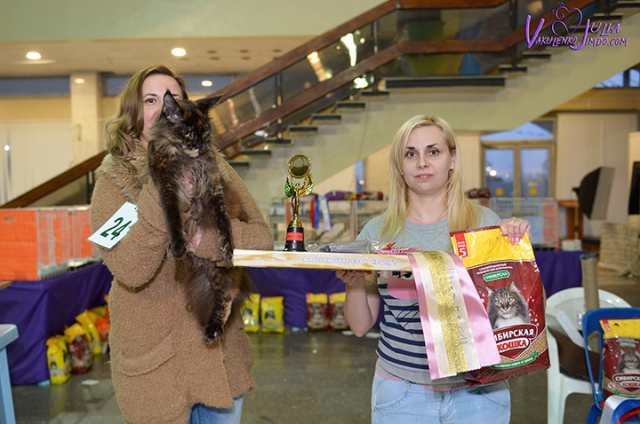 25-26 февраля 2017 г. Новороссийск