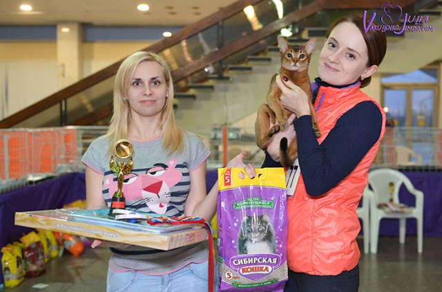 25-26 февраля 2017 г. Новороссийск