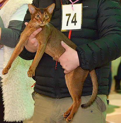 25-26 февраля 2017 г. Новороссийск