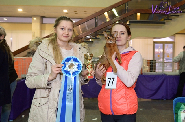 25-26 февраля 2017 г. Новороссийск