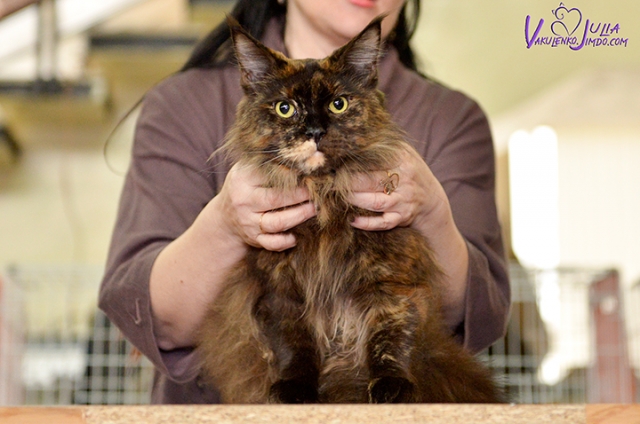 25-26 февраля 2017 г. Новороссийск