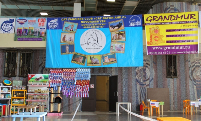 25-26 февраля 2017 г. Новороссийск