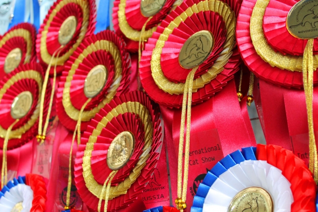 25-26 февраля 2017 г. Новороссийск