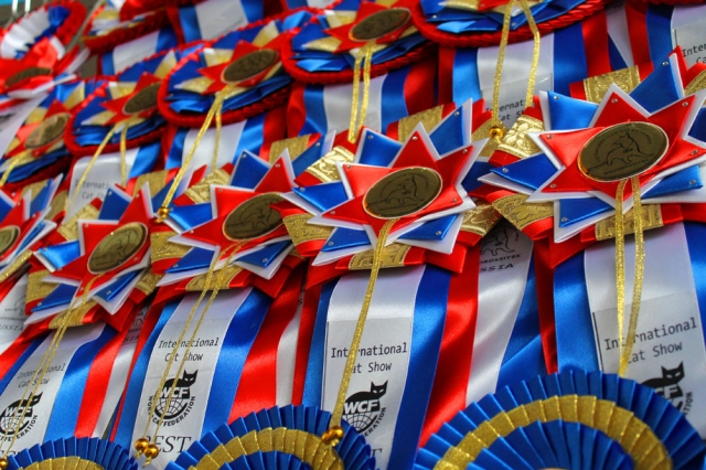 25-26 февраля 2017 г. Новороссийск