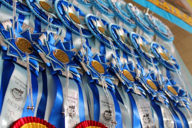 25-26 февраля 2017 г. Новороссийск