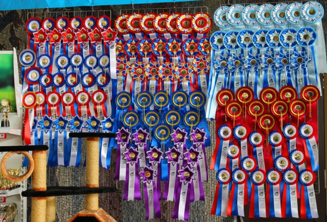 25-26 февраля 2017 г. Новороссийск